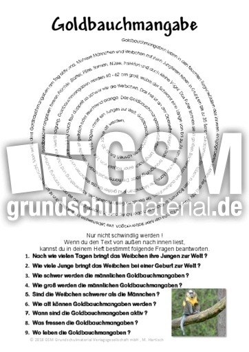 Goldbauchmangabe.pdf